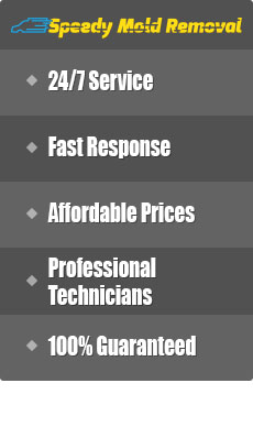 Speedy Mold Removal - side menu